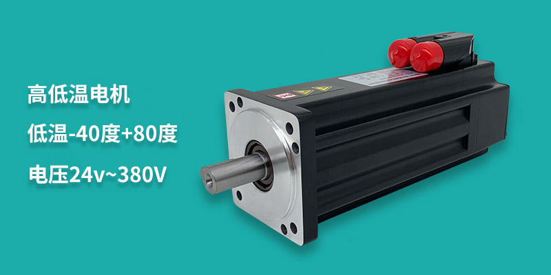高低溫電機(jī)